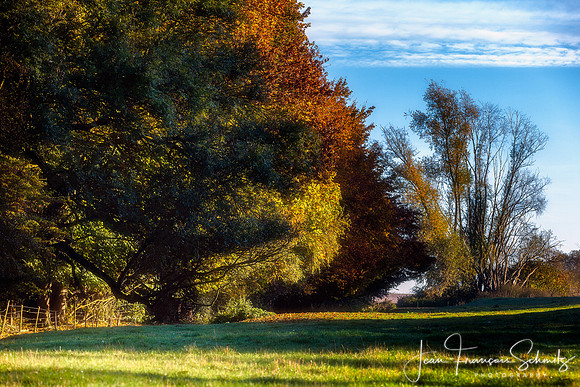 Hougoumont in autumn
