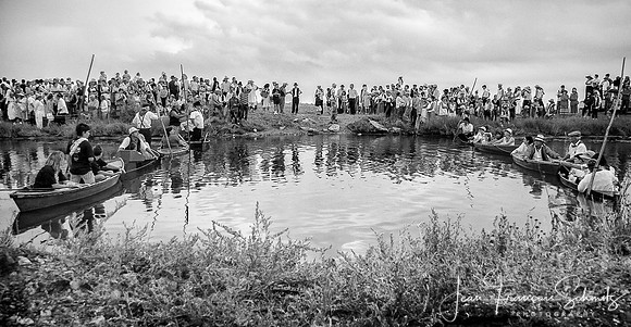 Manade au Mas des Pauvres, Mauguio, Août 2008
