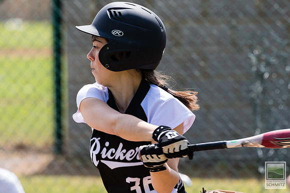May 17th, 2015 - Black Rickers vs LLN Phoenix - © 2015 Jean-François Schmitz
