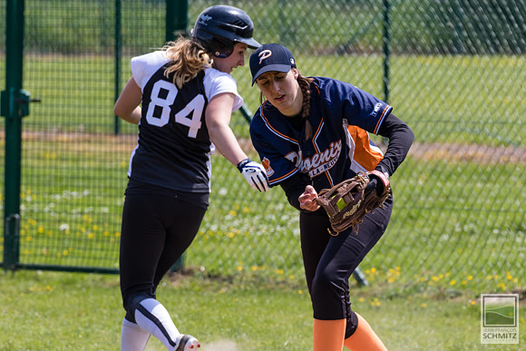 May 17th, 2015 - Black Rickers vs LLN Phoenix - © 2015 Jean-François Schmitz