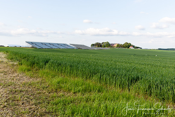 150525_JFS_Waterloo_5D_112201
