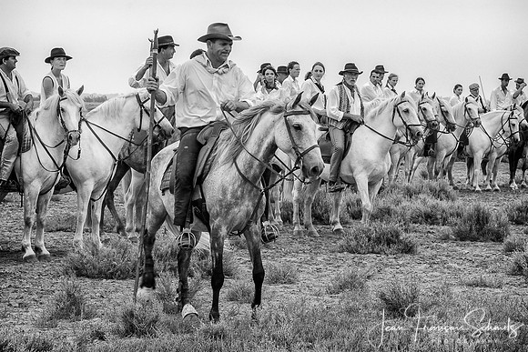 Manade au Mas des Pauvres, Mauguio, Août 2008