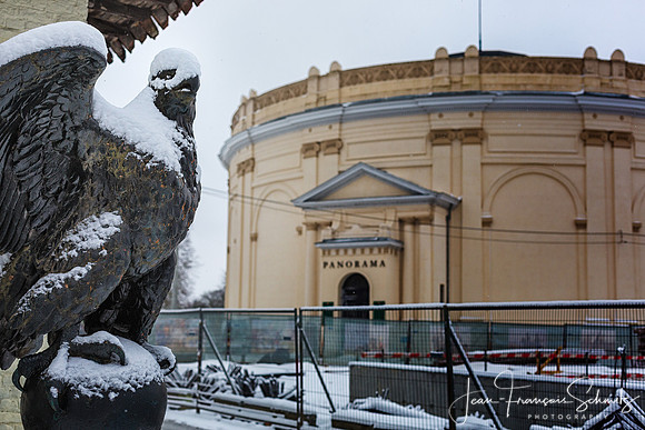 Snow  covered Eagle