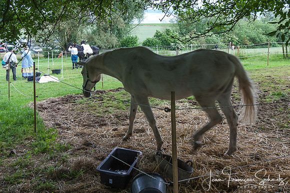 Hougoumont 2013