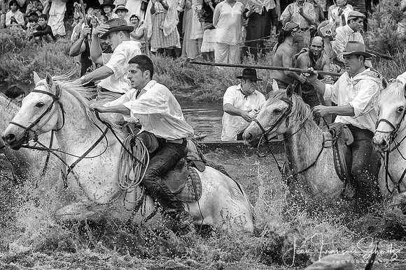 Manade au Mas des Pauvres, Mauguio, Août 2008