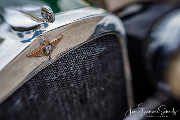 Dodge