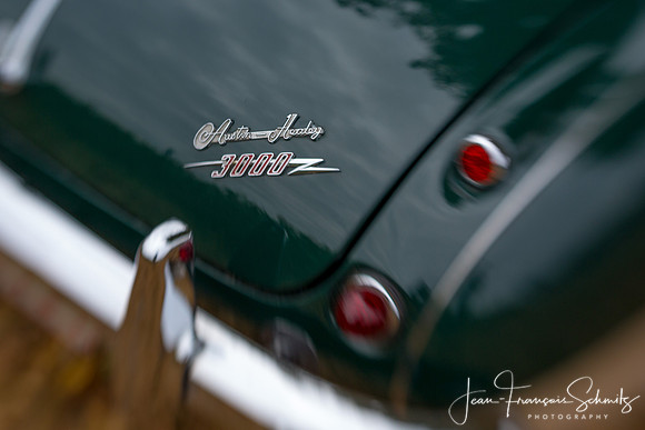 Austin Healey