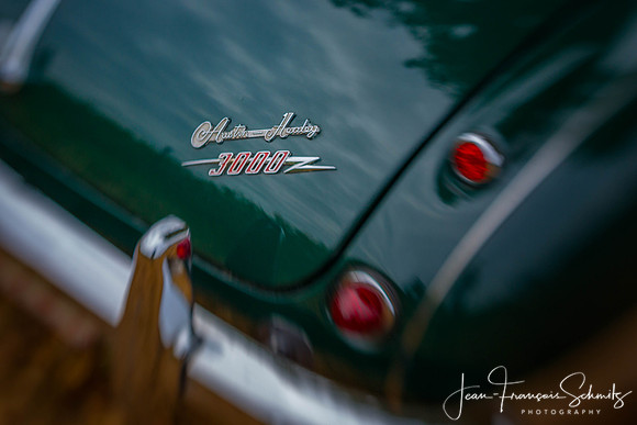 Austin Healey