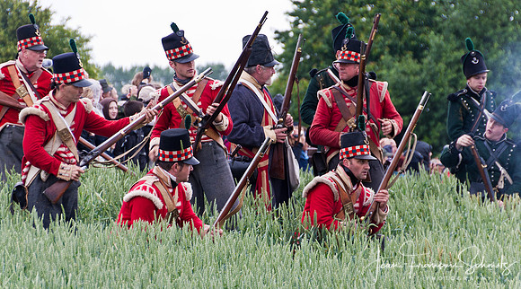 Waterloo re-enactment, June 2010