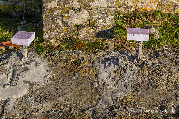 Hougoumont, December 2013