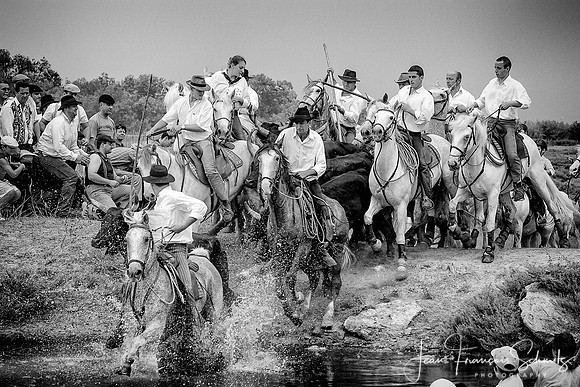 Manade au Mas des Pauvres, Mauguio, Août 2008