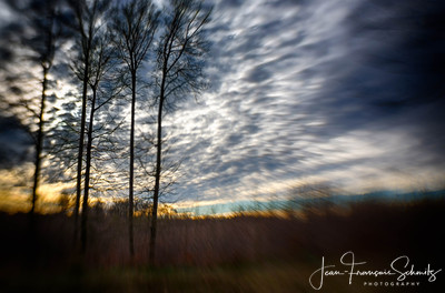 Winter sunset in  the Soignes Forest, December 2012