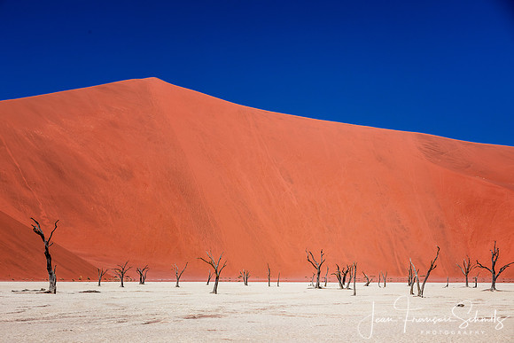 © 2019 Jean-François Schmitz
