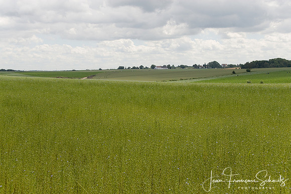 070617_JFS_Waterloo_30D_09223.CR2